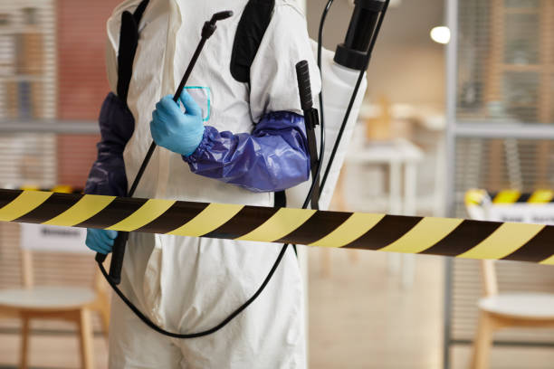 Professional Hoarding Cleanup technician working in Mantoloking, NJ